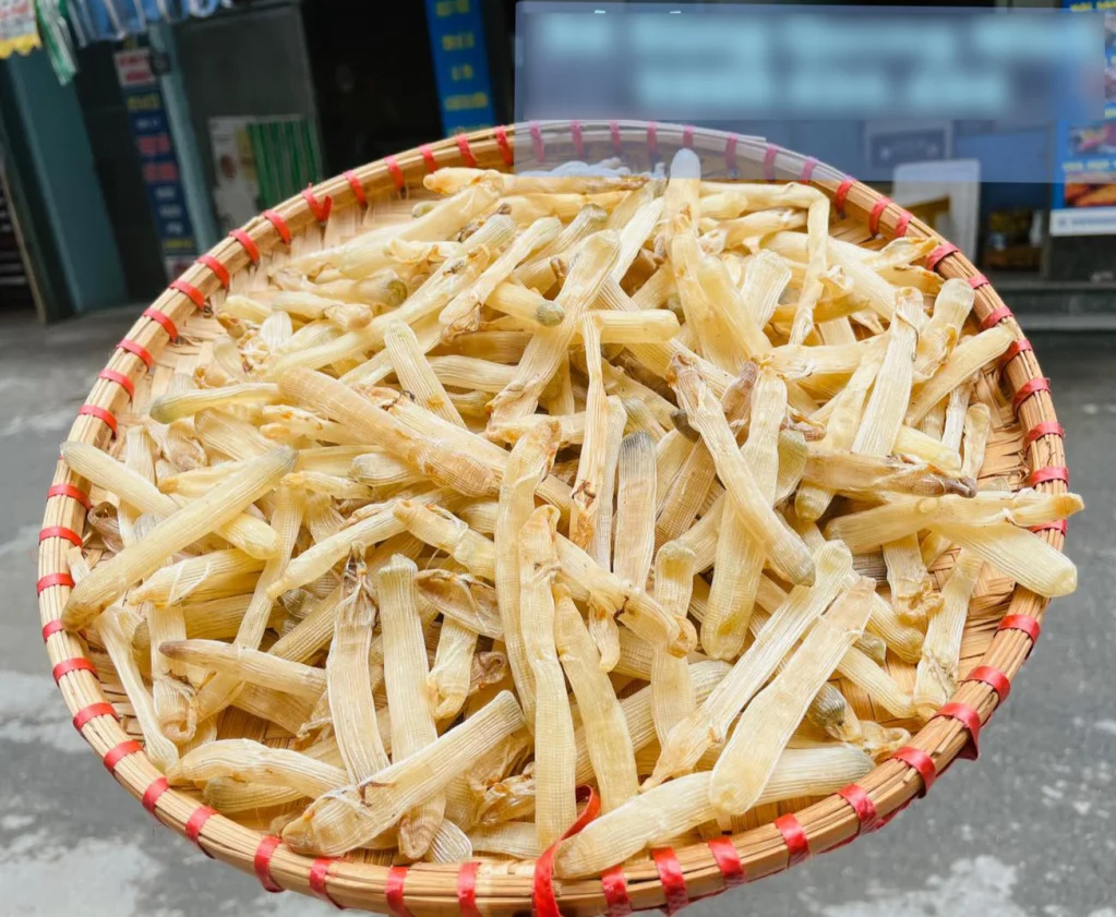 du-lich-ha-long (1).webp