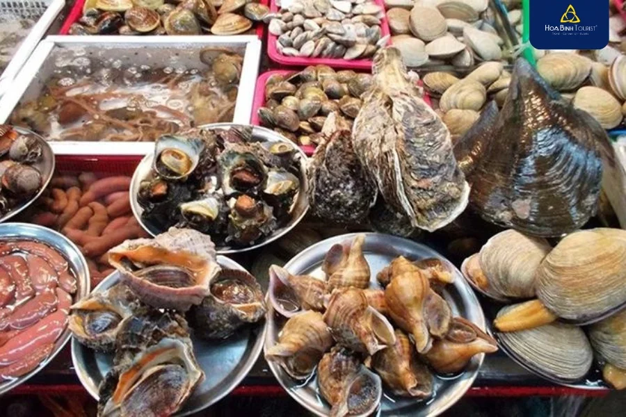 lich-trinh-du-lich-ha-long (14).webp