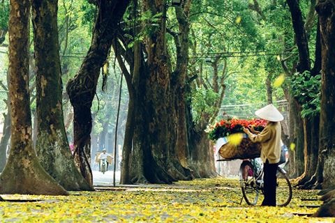 mua-thu-ha-noi (6).jpg