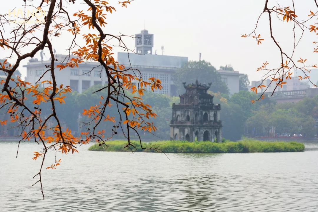 nhung-manh-ghep-mua-thu (4).webp