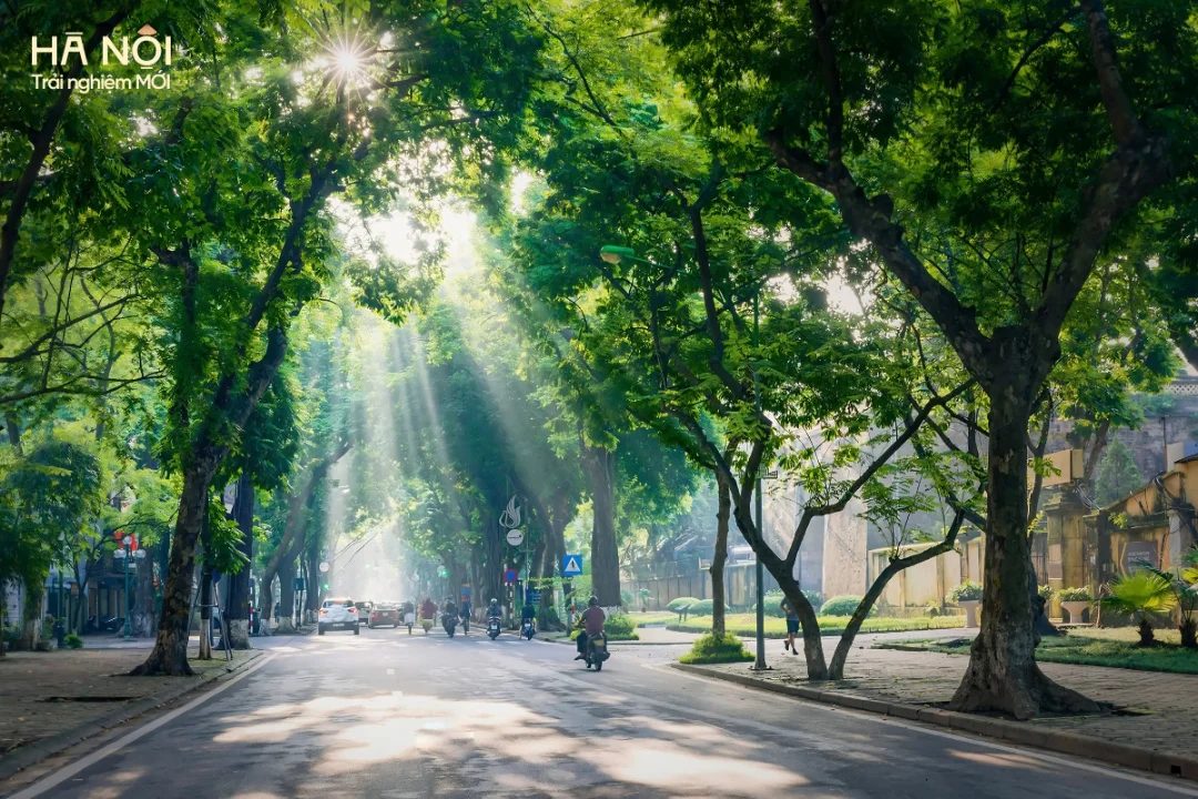 nhung-manh-ghep-mua-thu (5).webp