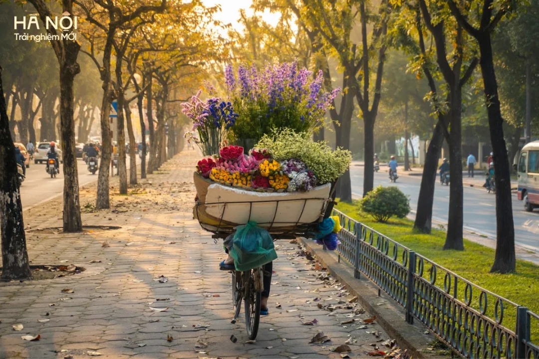 nhung-manh-ghep-mua-thu (6).webp